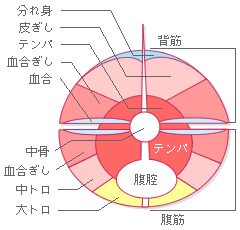 まぐろくんの部位 まぐろくんの部位